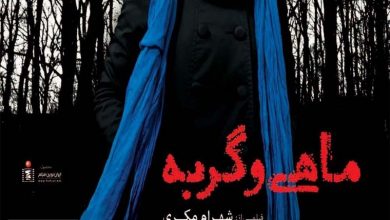 ماهی و گربه