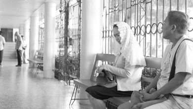 برگزيدگان جشنواره ونيز