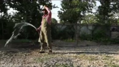 باغبان آبپاشي شده